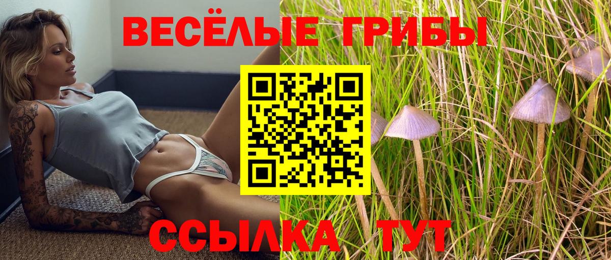 Псилоцибиновые грибы мицелий Кумертау