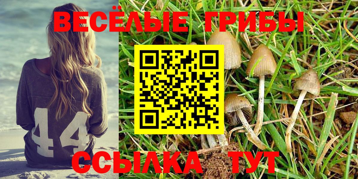 Галлюциногенные грибы MAGIC MUSHROOMS  Вход с VPN  Кумертау 